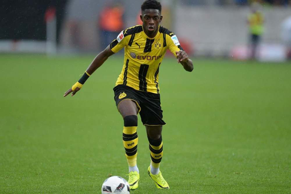 望的理由 望的理由